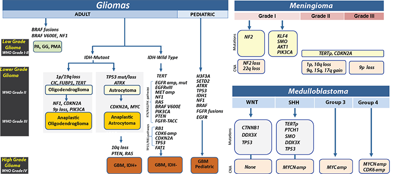 GlioSeq Application