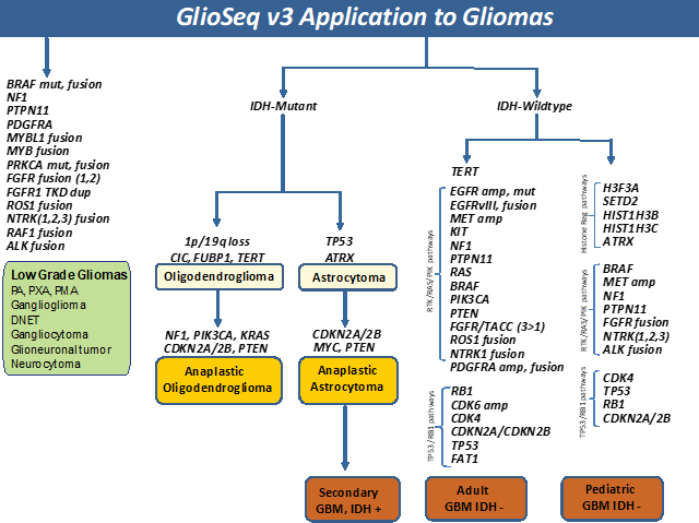 GlioSeq Gliomas